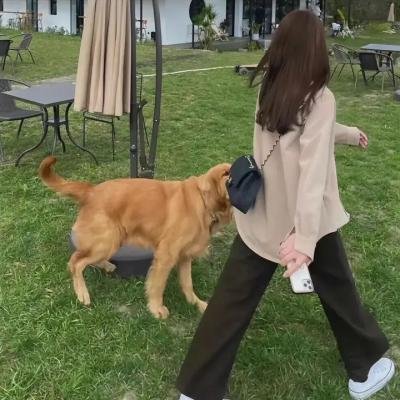 残宵留得梦依稀